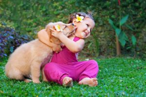 Puppies and Babies Playing Together Compilation