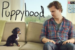 Puppyhood