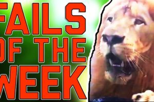 Rapper Slips off the Stage!!: Fails of the Week (July 2017)