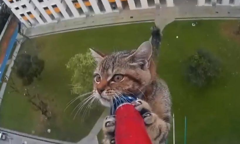 Real Life Heroes [ Good people ] part 10