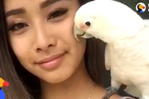 Rescue Cockatoo Loves Sunbathing and Dancing With Mom | The Dodo