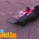 Rescue Dog Saves Kid From Impending Water Fun