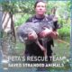 Stranded Animals Saved by PETA