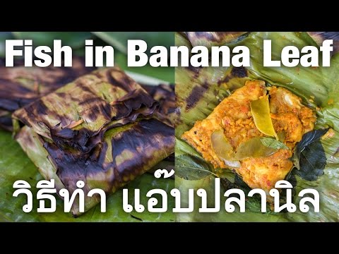 Thai Fish Grilled in a Banana Leaf Recipe (วิธีทำ แอ๊บปลานิล)