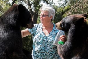 The Granny Who Lives With Two Bears And A Tiger