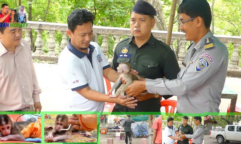 This Is Videos Of Santa Full - Santa Already Rescued Baby Santa Rescued By Wildlife Alliance