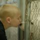 This Kid's Goal Is To Get Every Single Shelter Dog in the U.S. Adopted | The Dodo Heroes Season 2