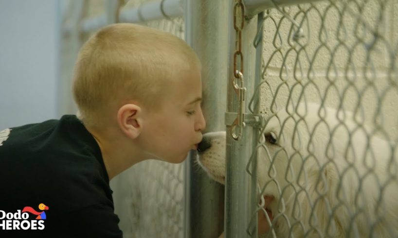 This Kid's Goal Is To Get Every Single Shelter Dog in the U.S. Adopted | The Dodo Heroes Season 2