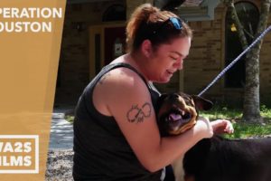This Woman Couldn't Get Her Dogs Back From Houston SPCA After Hurricane - Hope For Dogs | My DoDo