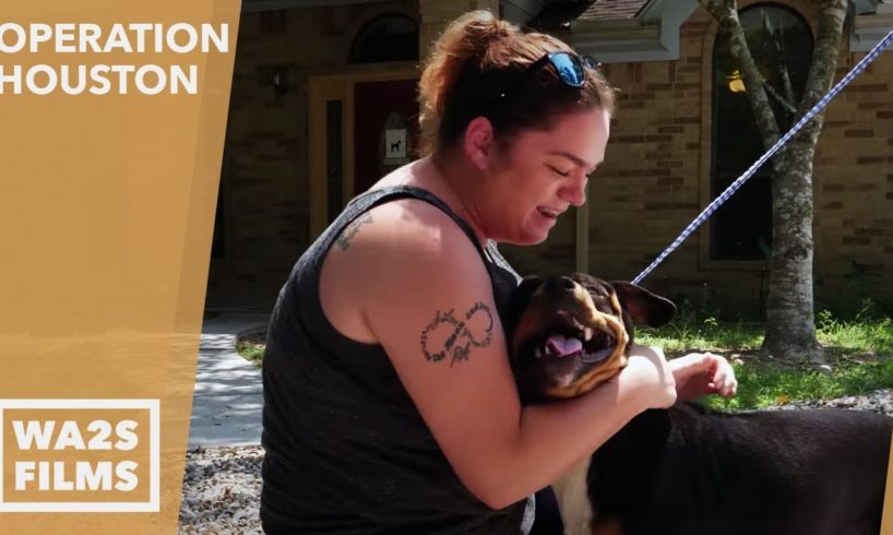 This Woman Couldn't Get Her Dogs Back From Houston SPCA After Hurricane - Hope For Dogs | My DoDo