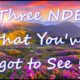 Three NDEs that You've Got to See!