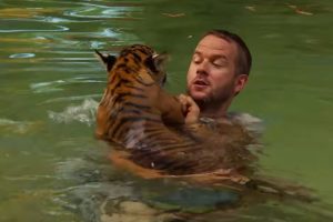 Tiger Cubs Swimming For The First Time | Tigers About The House | BBC