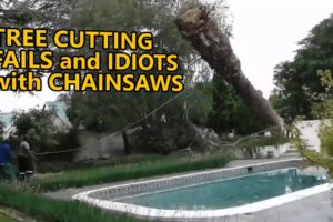 Tree cutting fails and idiots with chainsaws. FAIL COMPILATION. Part 3