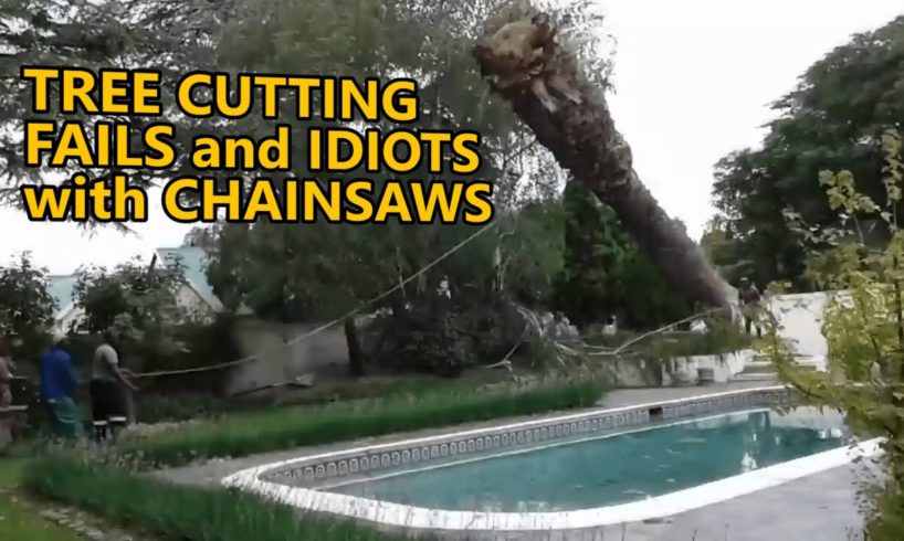 Tree cutting fails and idiots with chainsaws. FAIL COMPILATION. Part 3