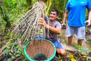 Unseen SUPERFOOD in Amazon Jungle - Real Way to Eat AÇAÍ (You’ll Be Surprised) in Belém, Brazil!