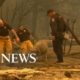 Volunteers in California brave the fires to rescue animals from the flames