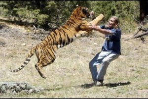 When Animals Fight Back And Take Revenge On Humans