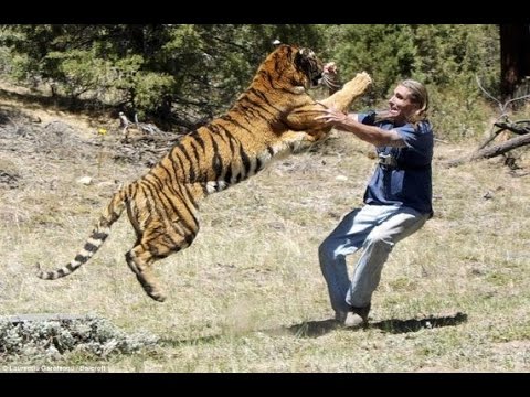 When Animals Fight Back And Take Revenge On Humans