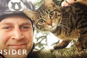 Why These Brothers Rescue Cats From Trees