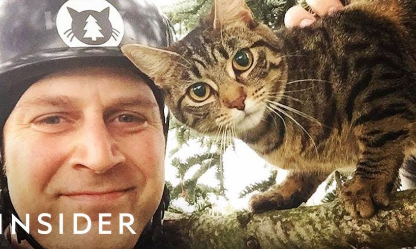 Why These Brothers Rescue Cats From Trees