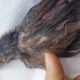 Woman Saves Sick Bird On Street — And Makes Her Family  | The Dodo