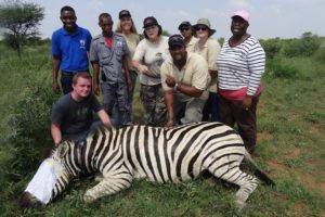 Zebra Saved From Deadly Snare Hold