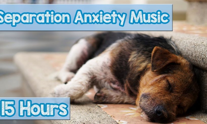 15 HOURS of Deep Separation Anxiety Music for Dog Relaxation! Helped 4 Million Dogs Worldwide! NEW!