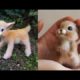 Cute baby animals Videos Compilation cute moment of the animals - Baby animals #2