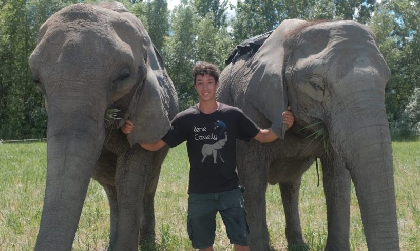 20-Year-Old Acrobat Performs Tricks With His Elephant Family | BEAST BUDDIES