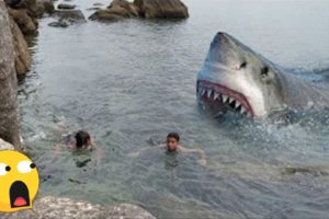 4 SCARY Shark Attacks CAUGHT ON CAMERA