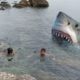 4 SCARY Shark Attacks CAUGHT ON CAMERA