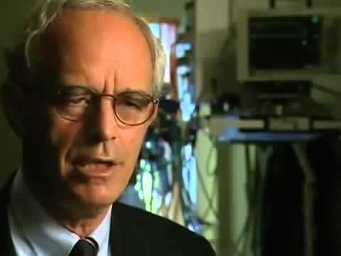 5TH Dimension   Near Death Experience Documentary   YouTube