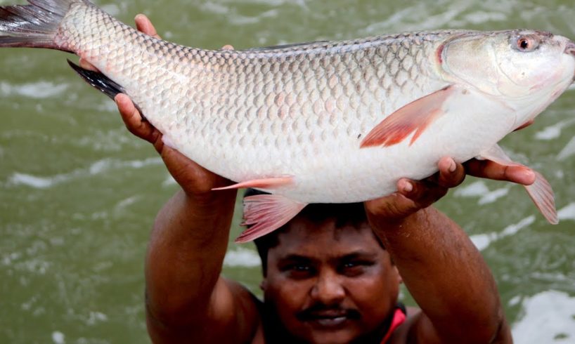 Amazing Fish Hunting And Cooking Fish Curry | Boy's Cooking River Fish | Country Boys