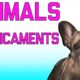 Animals In Predicaments: Animal Fails (Mar 2018) | FailArmy