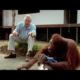 Attenborough: Amazing DIY Orangutans | BBC Earth