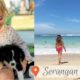 BALI VLOG: CUTEST PUPPIES & BALI TURTLES // DOG ATTACK // PARADISE BALI BEACH