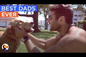 BEST Animal Dads of ALL TIME Compilation | The Dodo Best Of