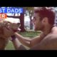 BEST Animal Dads of ALL TIME Compilation | The Dodo Best Of