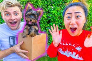 BOYFRIEND SURPRISES ME WITH A PUPPY!!