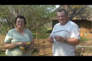 Baby Elephant Named and Animals Playing Oct 2012