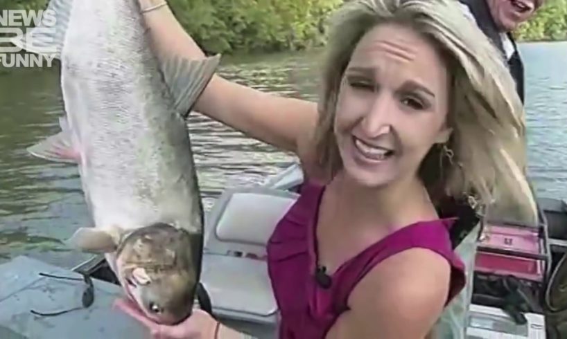 Best Animal News Bloopers