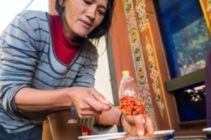 Bhutanese CHILI SAUCE! Bhutan Travel Guide from Punakha to Phobjikha Valley, Bhutan (Day 14)