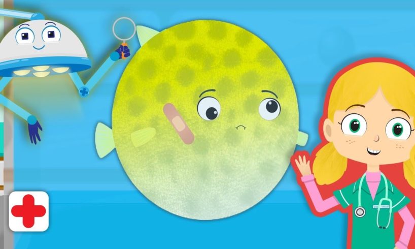 Boris the Puffer Fish Visits Dr Poppy's Pet Rescue | Animal Learning Cartoons For Toddlers