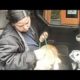 Bronx Animal Hoarding Rescue