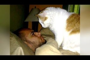 Cute ANNOYING ANIMALS WAKING UP OWNERS - Bet you'll LAUGH ALL DAY LONG