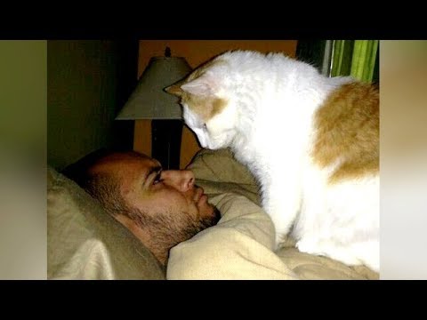 Cute ANNOYING ANIMALS WAKING UP OWNERS - Bet you'll LAUGH ALL DAY LONG