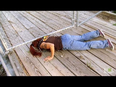 Dangerous Swamp Rescues, All Part of the Job | Pit Bulls and Parolees