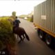 Dangers faced by horse riders using the roads - March 2017