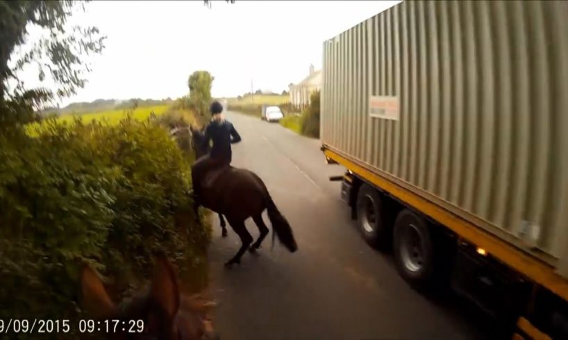 Dangers faced by horse riders using the roads - March 2017