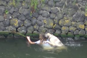 Dog rescued from the water / Hond uit water gered  (IJ, Amsterdam)